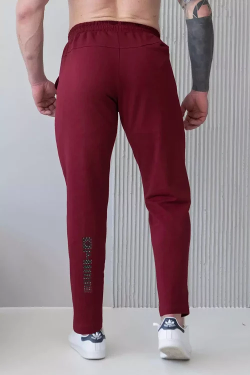 Мужские брюки прямого кроя TOTALFIT EM2-LD37