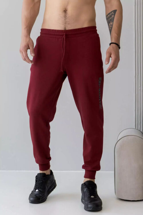 Брюки джогеры мужские TOTALFIT EM1-LD37