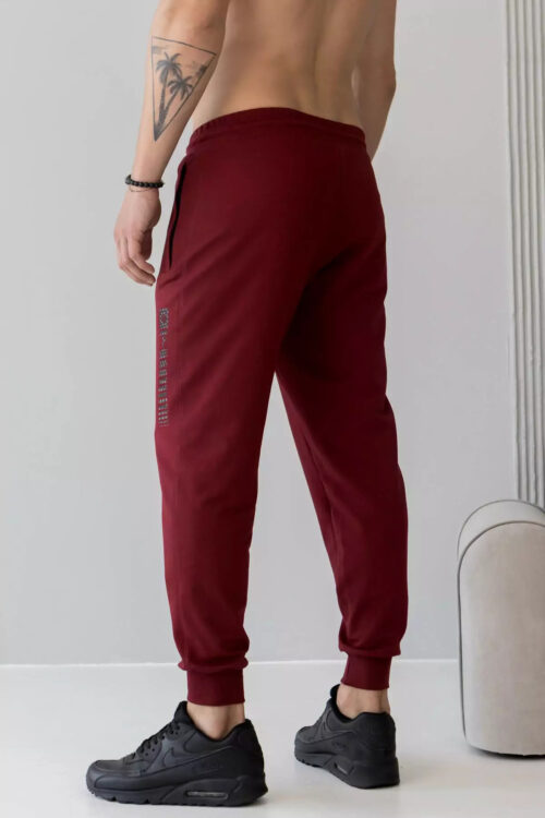 Брюки джогеры мужские TOTALFIT EM1-LD37