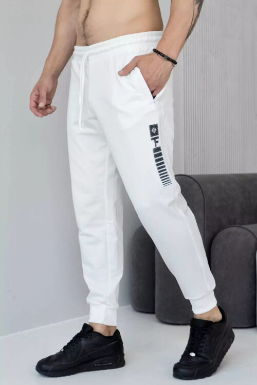 Брюки джогеры мужские TOTALFIT EM1-LD11