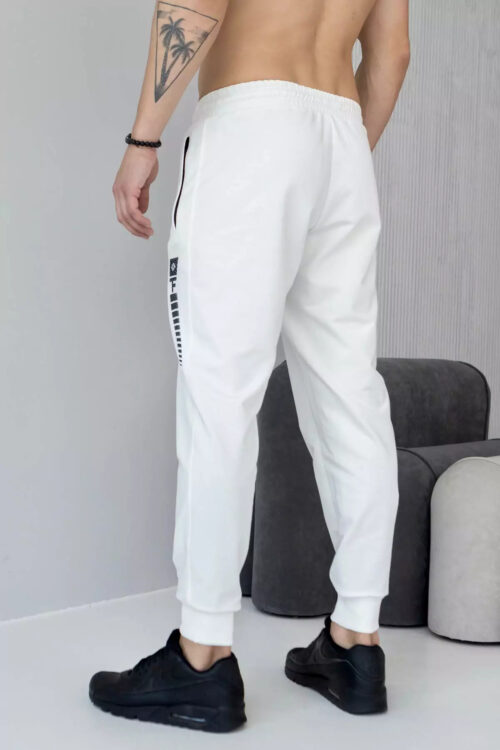 Брюки джогеры мужские TOTALFIT EM1-LD11