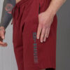 Шорты мужские TOTALFIT HG8-LD37