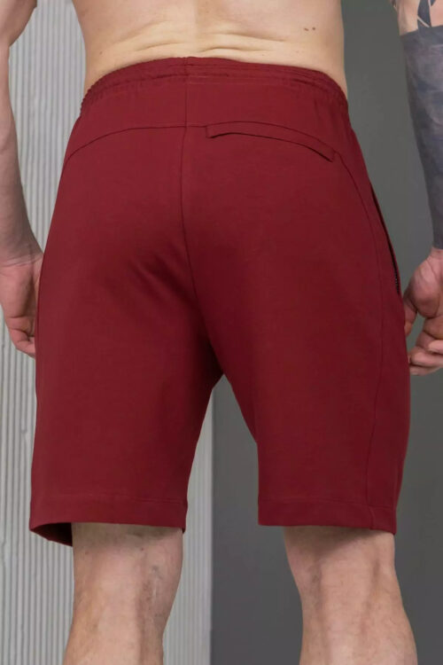 Шорты мужские TOTALFIT HG8-LD37